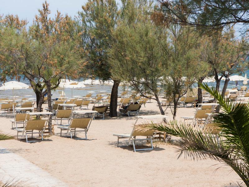 A825371A31C53595697CF3EC002F77F5