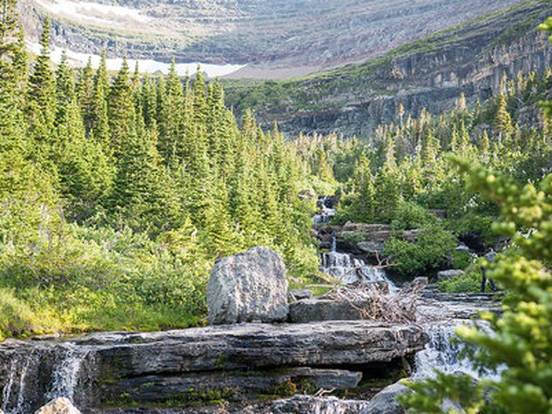 6CAF8F945155F1C49EE60387C6DBFFE9