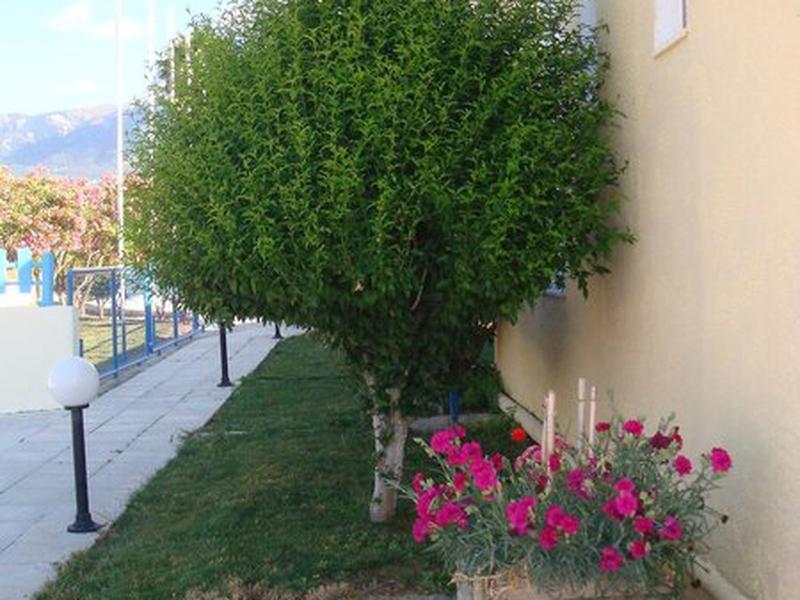 42C329E8B81CB14859DBA622582DC5D5