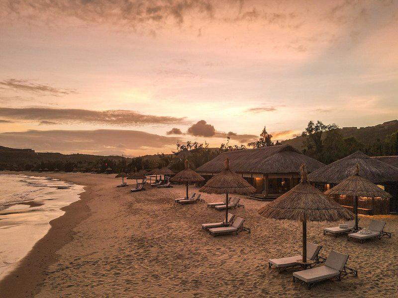 A739BCEF496A3E040267F178242A8D2C