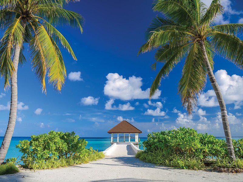 371935FDEF8BC1DA5280F61A368995B9