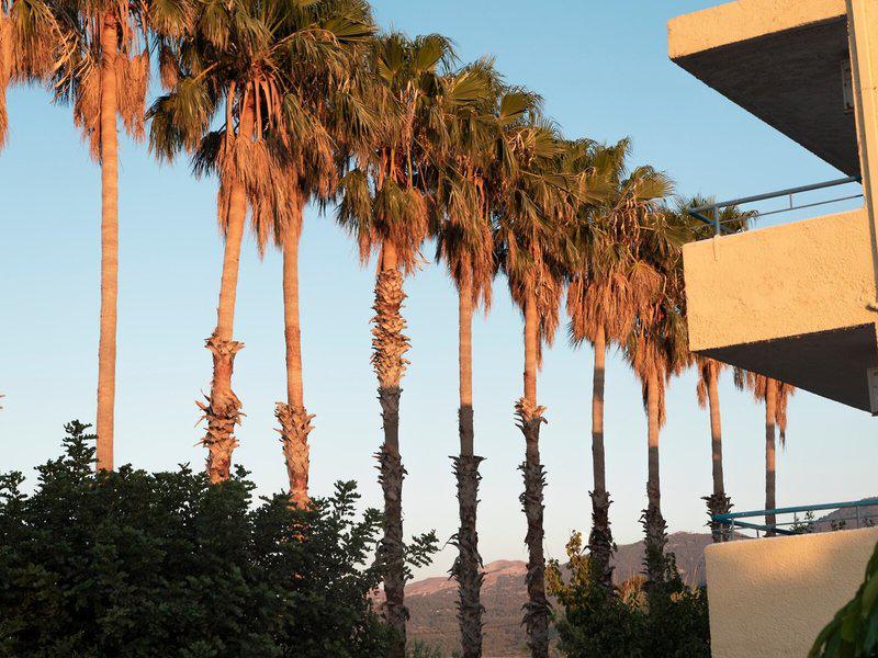 A4A018980CDFDDA9F4E36173EE889C7F