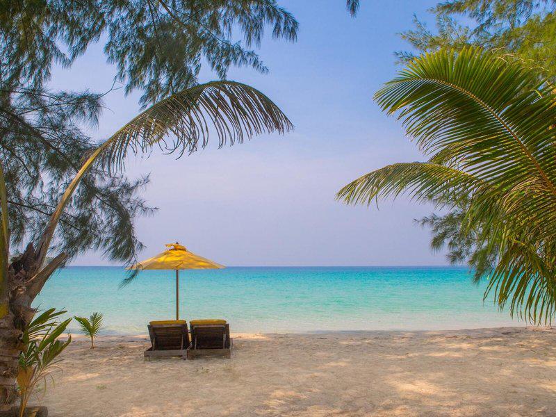 06470CC3F3D6814E5561D40CF043F884