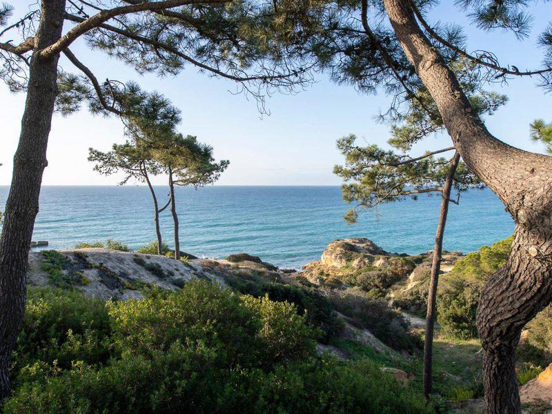 2AC31591E0C01D3BFA72F875B0B68318