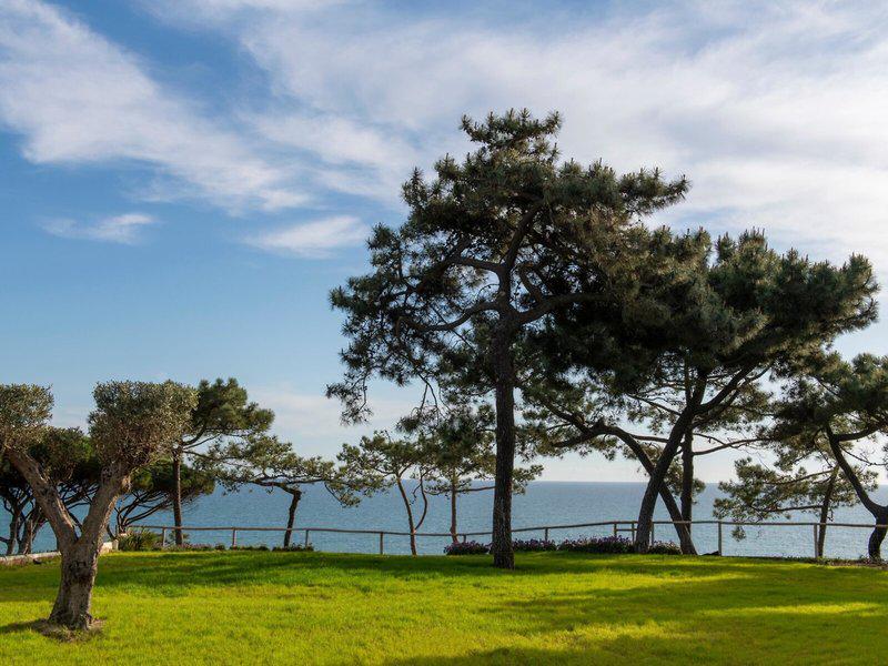 7F921D3CD3AB27207B28E98F4177F5A6