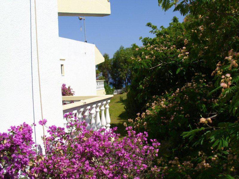 A07072F2D02EFC3368E5F6D4848B6A0F