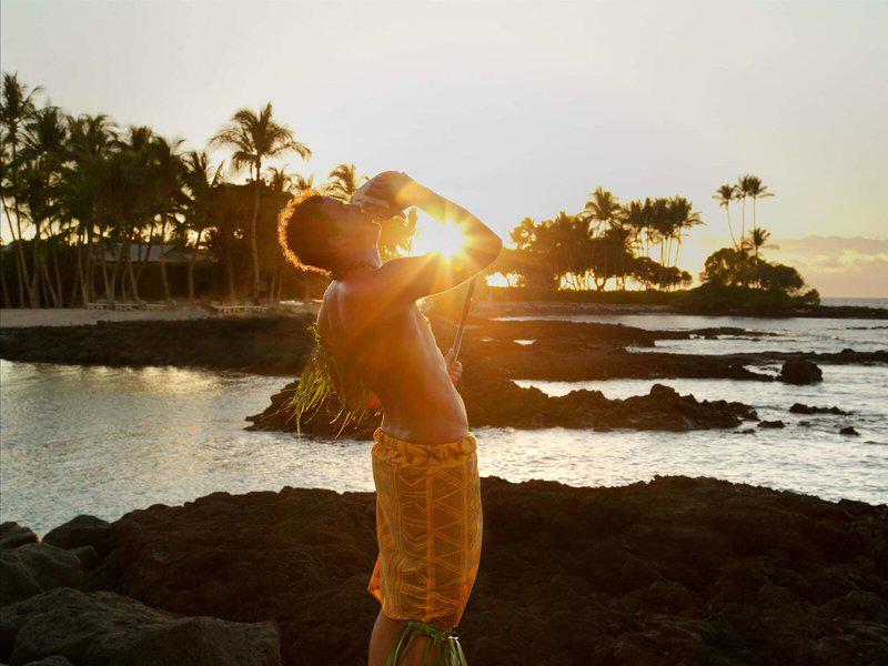 2E6F39063E160E113417CFED4FF027C1