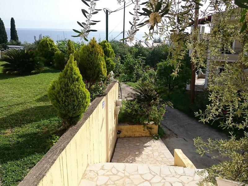 3F066C1F10B8A011B4B029FCD2DE8809