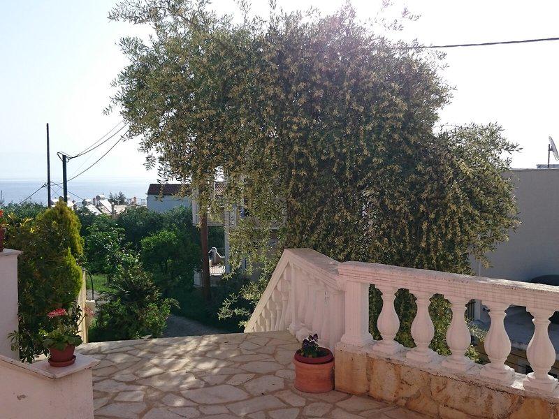 D48FC8D8CE4318E54030FCCC7EFC1114