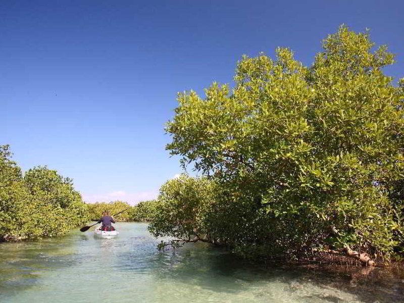 BA1C7C5D36EF3B946F467A5553FD24C9