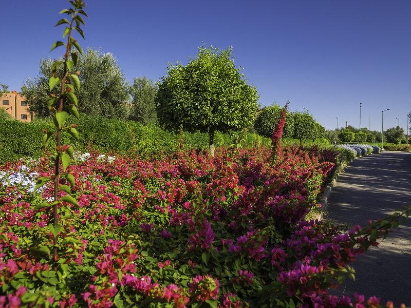 09990E83BAC50D24533E2383079EAE06