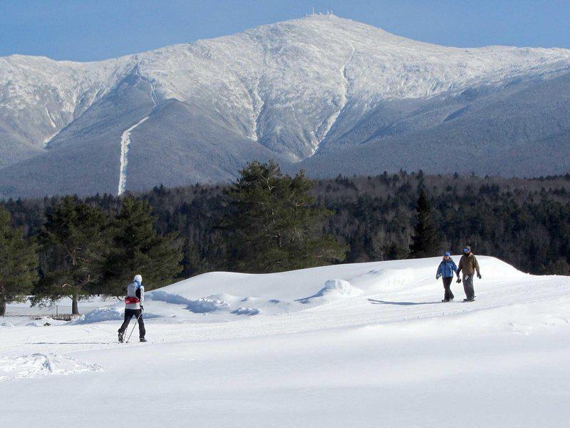 C5DEBC7652F6162E906361F210E0CA13