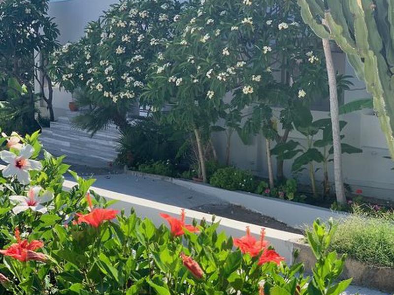 98620DFE2478D0AF33675AA4E8C559F3