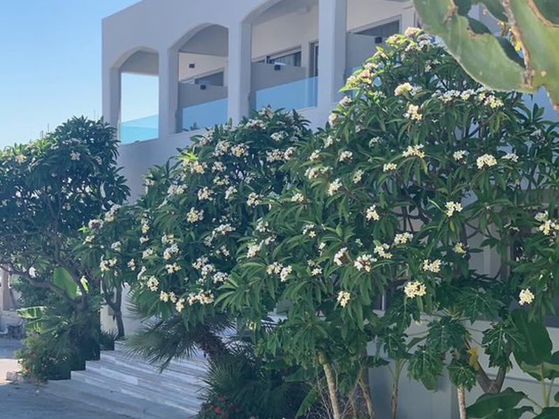 3D43FF1C8CC0F43CA61876CE5286B776