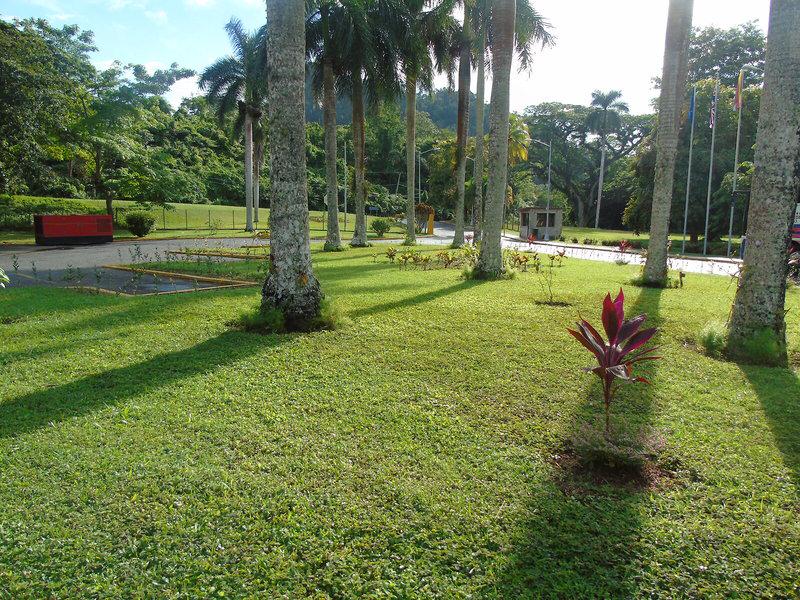 C4DA737897D1375F01F1E8B8FB383C7E