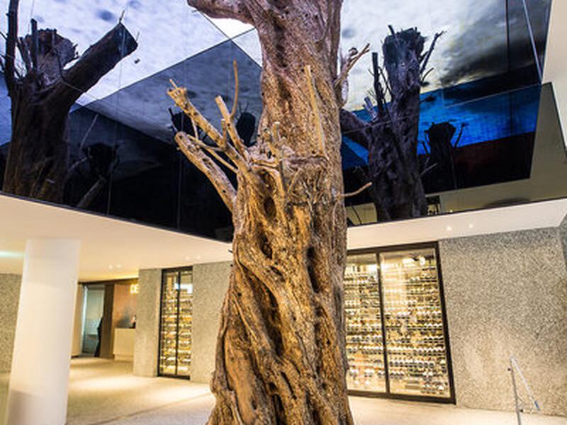 C6517D56312501CDEC6C39FE697C5636