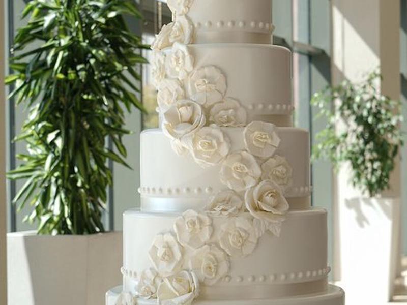 359ED586E4DBC95AE8BF9BBB22B4F83F