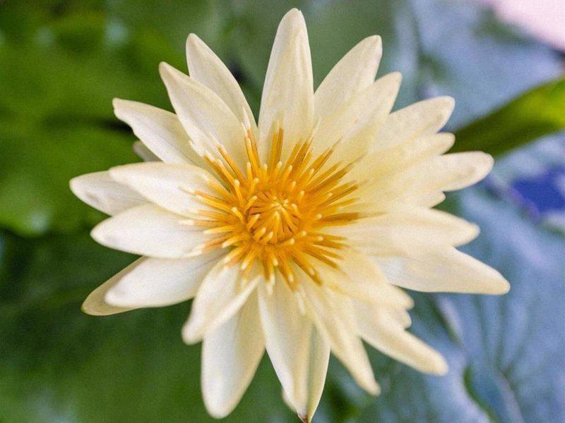 792E7802F30659FBD48420E50DA0867C