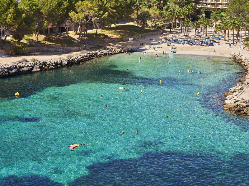 A9F5C4067B1560B3558E96AB8DD95DC8