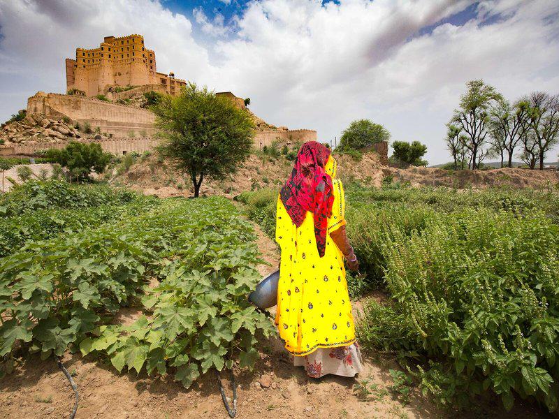 EF3BB5C9ECCEC298AC375536948C943D