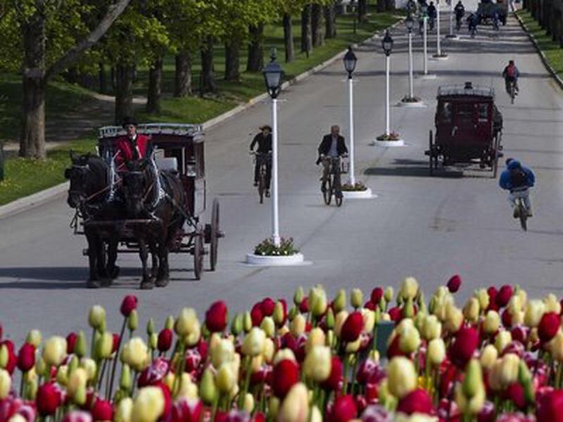 B2D5DFCC0B9DBD1051E3B3C3C770BC19