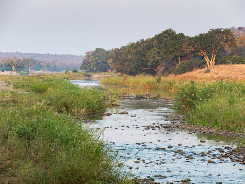 FADA7E8FA46464348D2B51FD885548EE