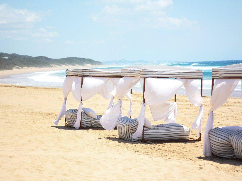 0E592FC588BF7D17CC5C69754CA14597