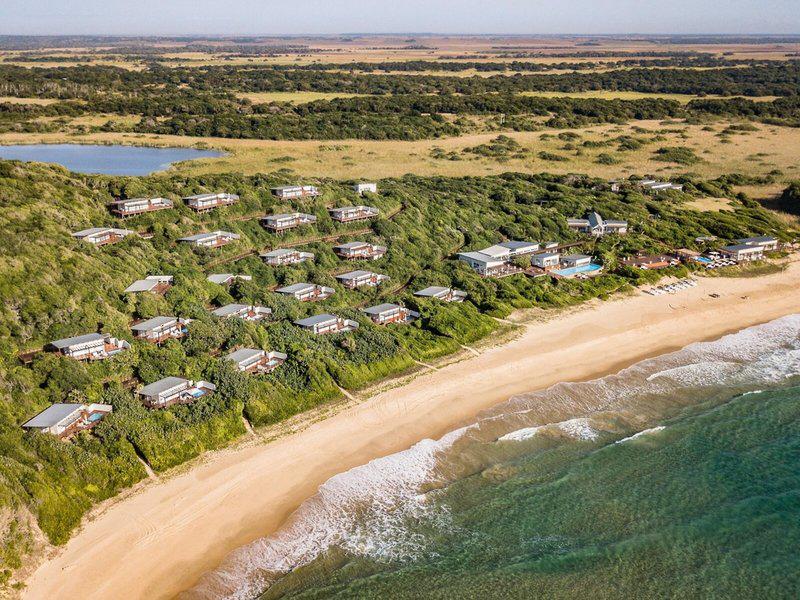 D685ECF49951027A5CFC1292C706FF5D