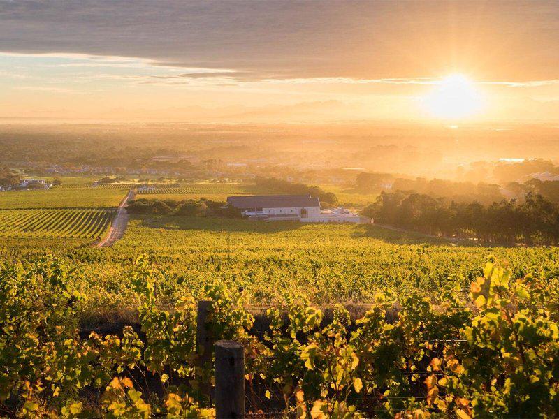 10A086B98C24B0B5053D2F98FA990E36