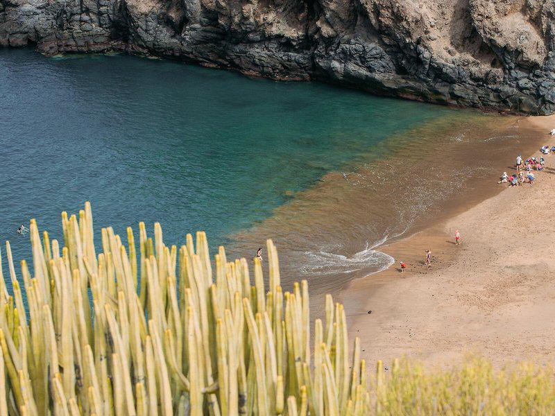 1ACE1C58BC0E5C0DA5E2EDF014A83F48