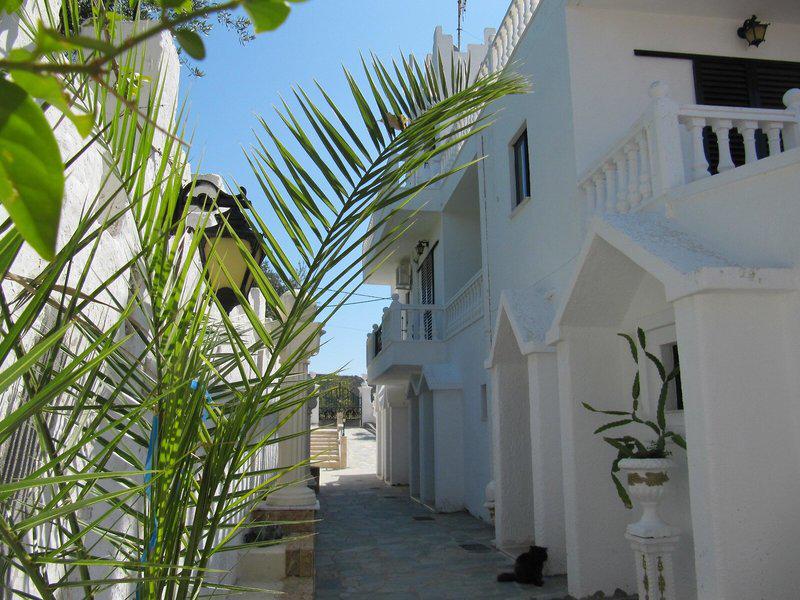 3A1960018E139324E92335C910071E05