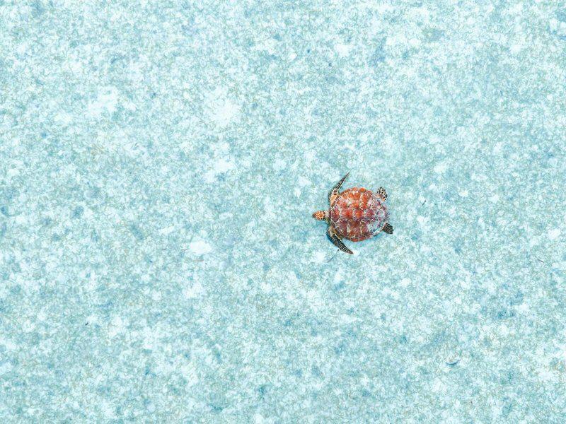 FB8EB14DA7787E80FE713F4366992F7C