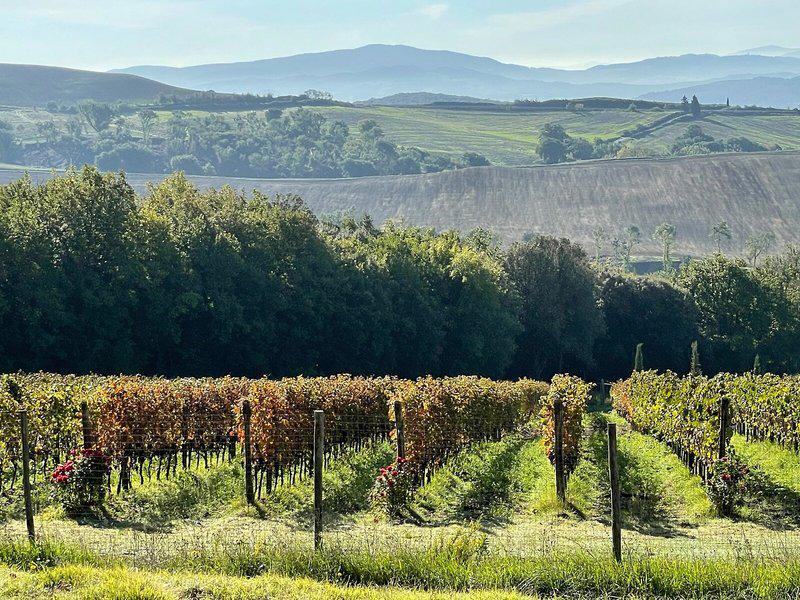 C9ED3DA9357253F1222017F967A0F892