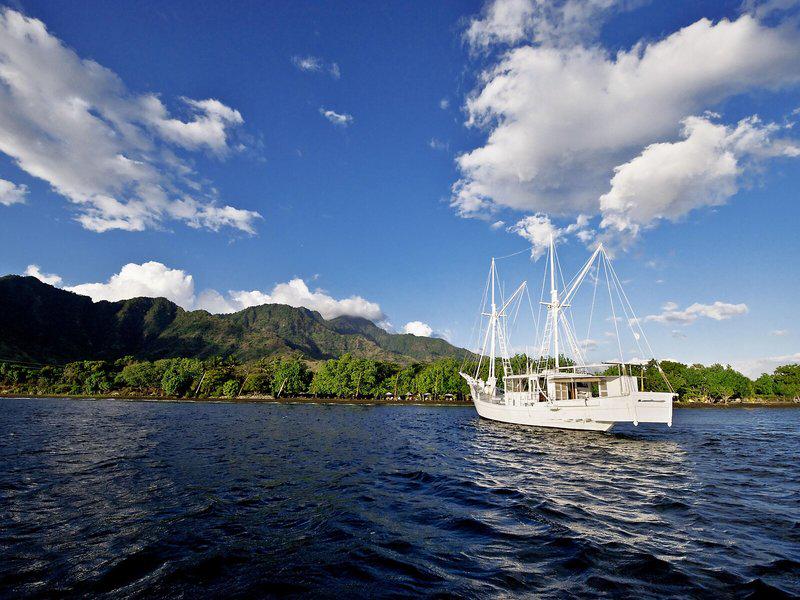 FD0E9C0BB350164EF0B1ADD32D9A50BE