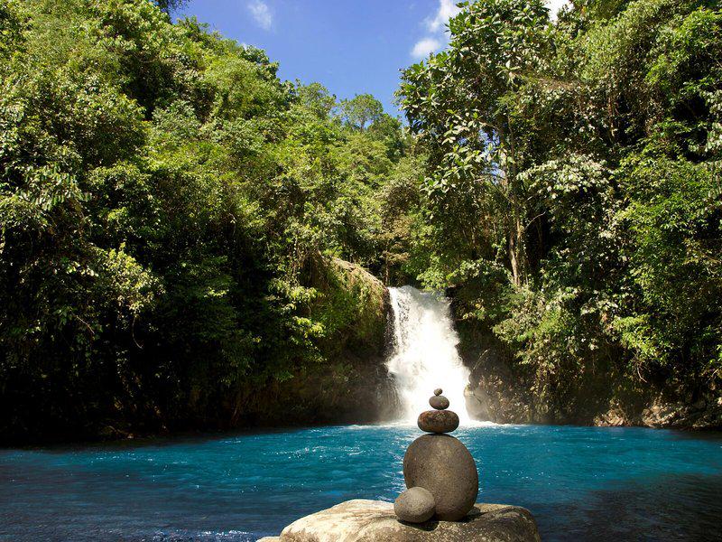 C0F41562F8A5AE866EF1CA9528A4EB4C