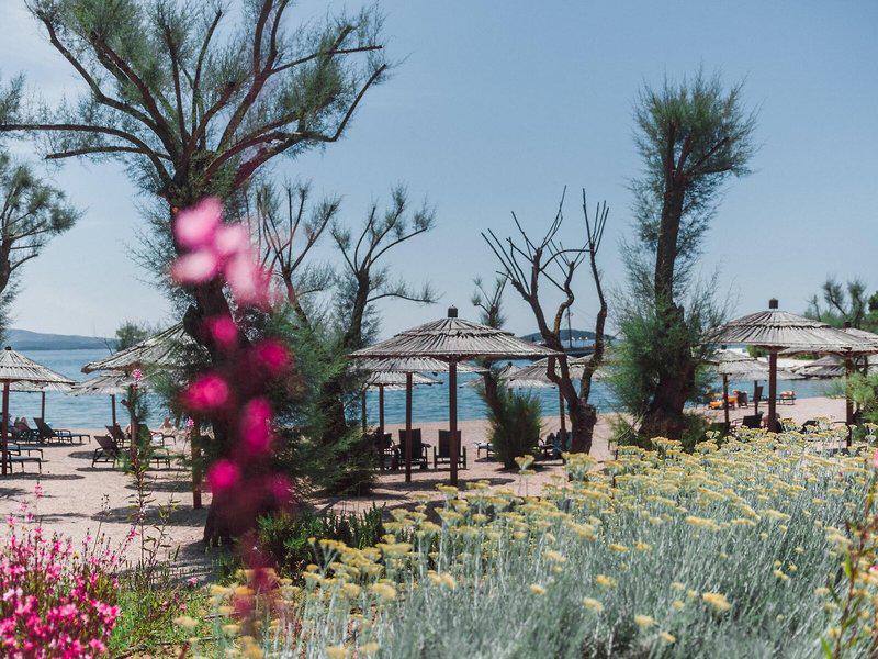 F3423C872F869E9E8588C94CC8AAC5F1