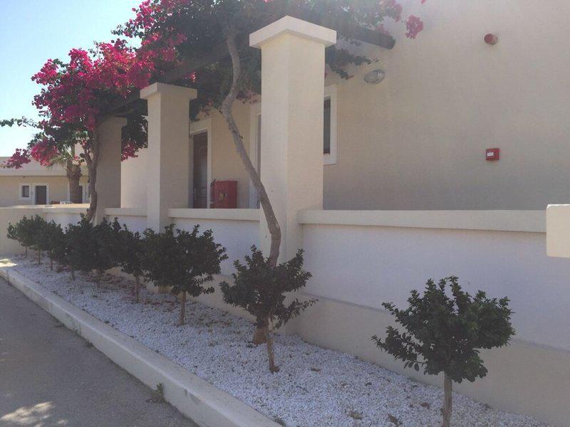 4E5EB8CD9C91A54A2A7BC1AE52A8C469