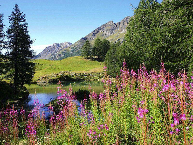 8162C659CC62484CB907E03F4A91B85C