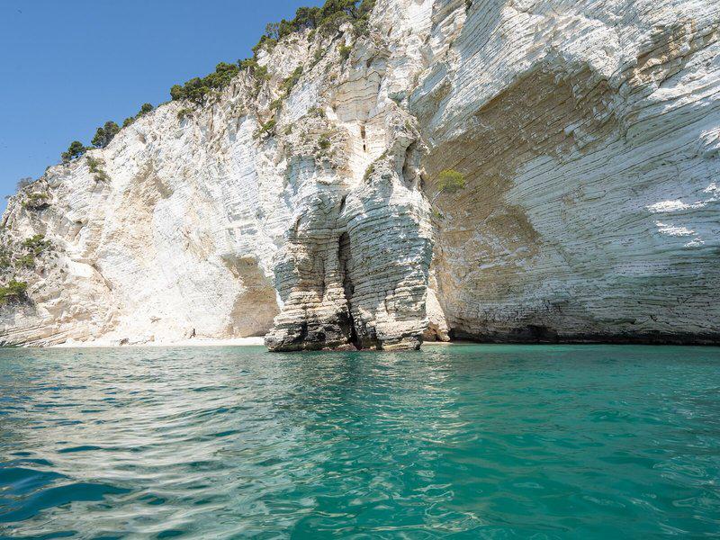 710F0461511E6AF88E5154CAAA0A87F6