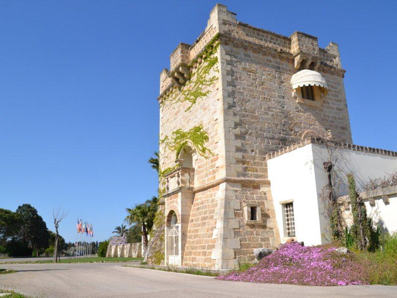 E75204E2C1B24F54F567E3A511DA0098