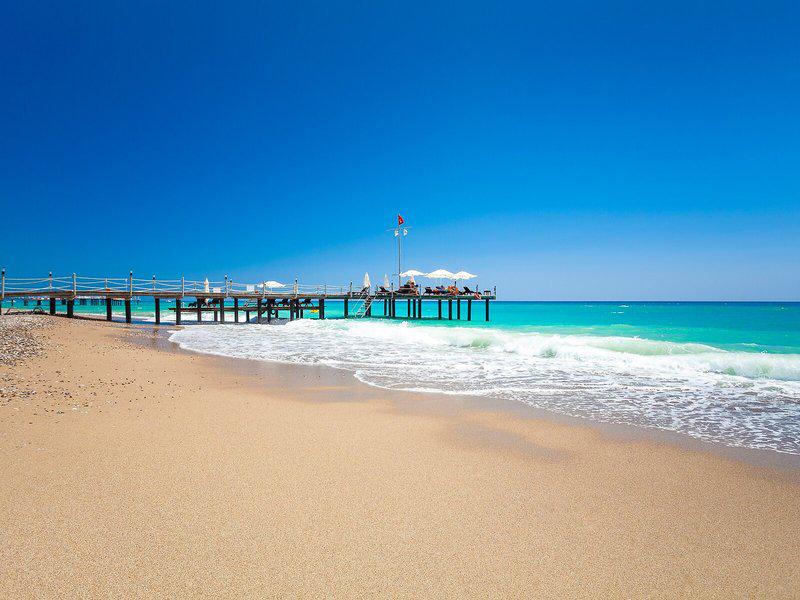 37977DFA5817F71916892440FD062CC9