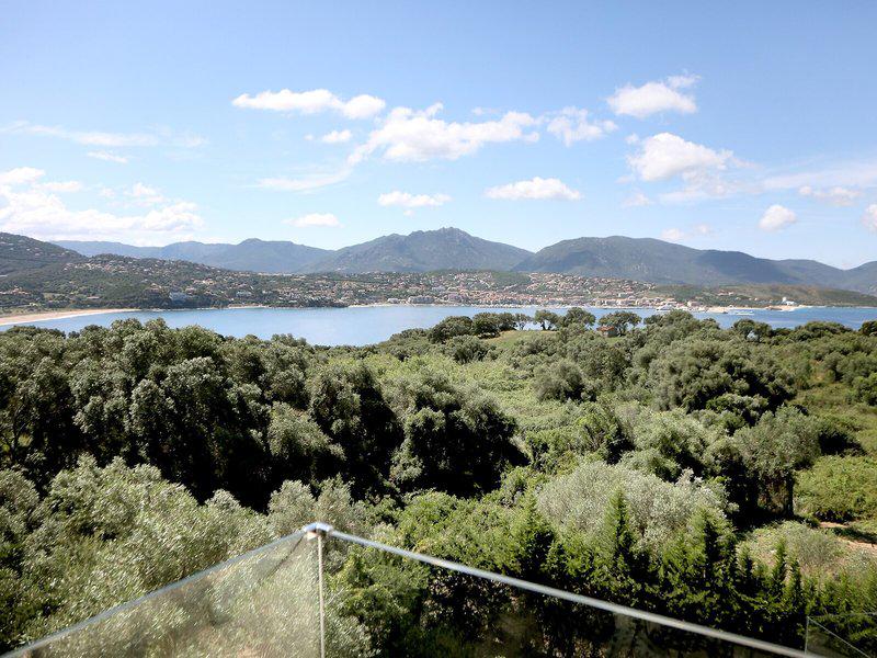 B53D16207C28190EAA1D7AC3C2A125EA