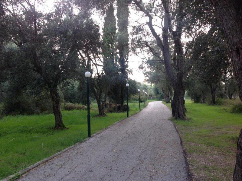 CCBA6DDF3320AAFC3BA3AFE6C87A9692