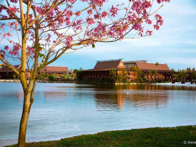 DD5F08936E9A6EEE779A42799B67DA19