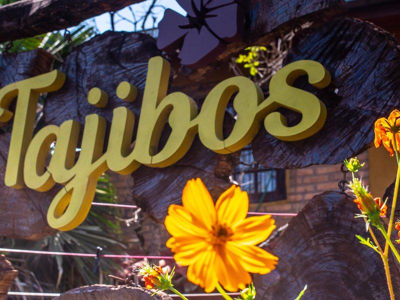 E1A52D2B7AE0235E24D4BF38AF13D004