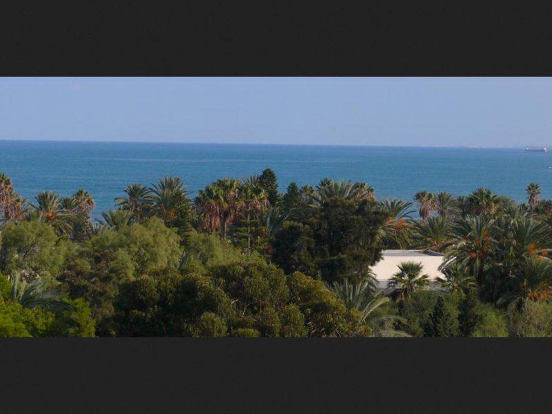 730A2A47C59B16E07F2C66B1CB5F1743