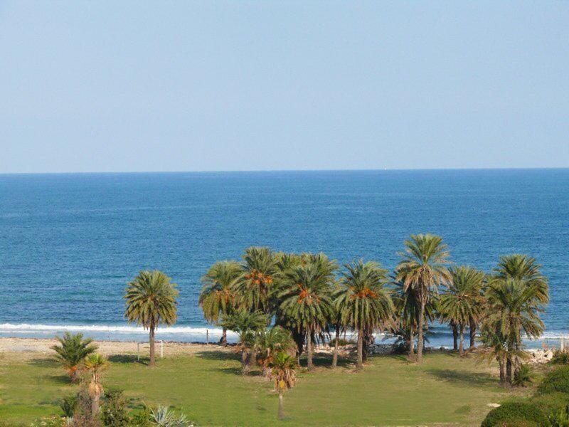 C4D4EDD5144781846622B08434B6E277