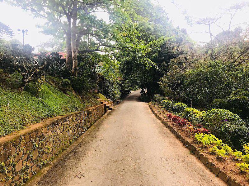 E1C3C2E56E858A3DC63973C94CB97C5E