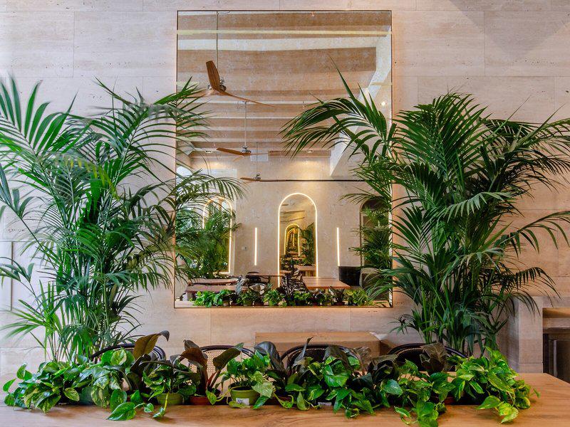 7CA69123114B81462840FA8EB5569497