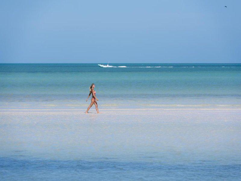 2E3D93258FD1111BDE7DB186565341F7